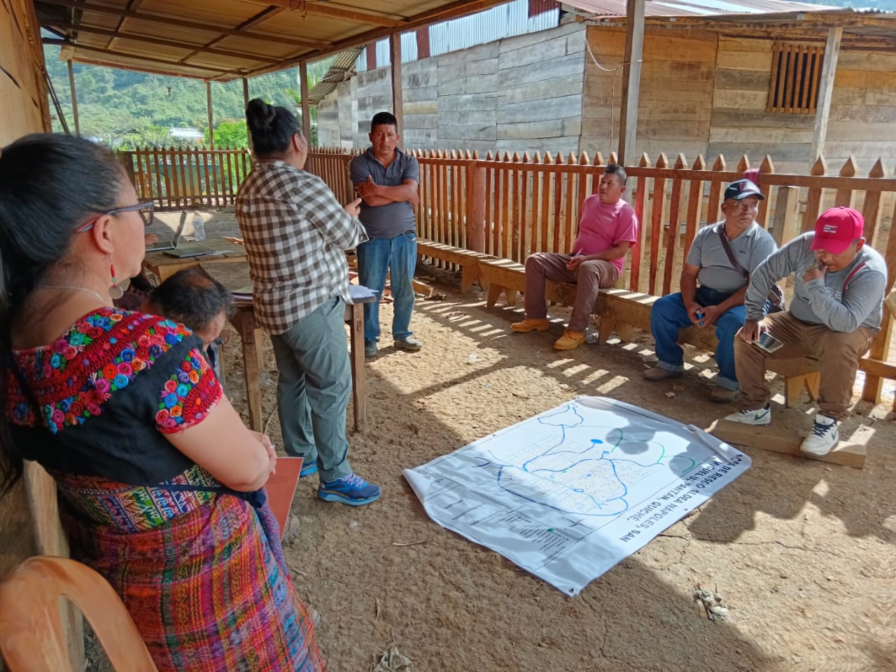 WhatsApp Image 2025-05-13 at 4.44.20 PM