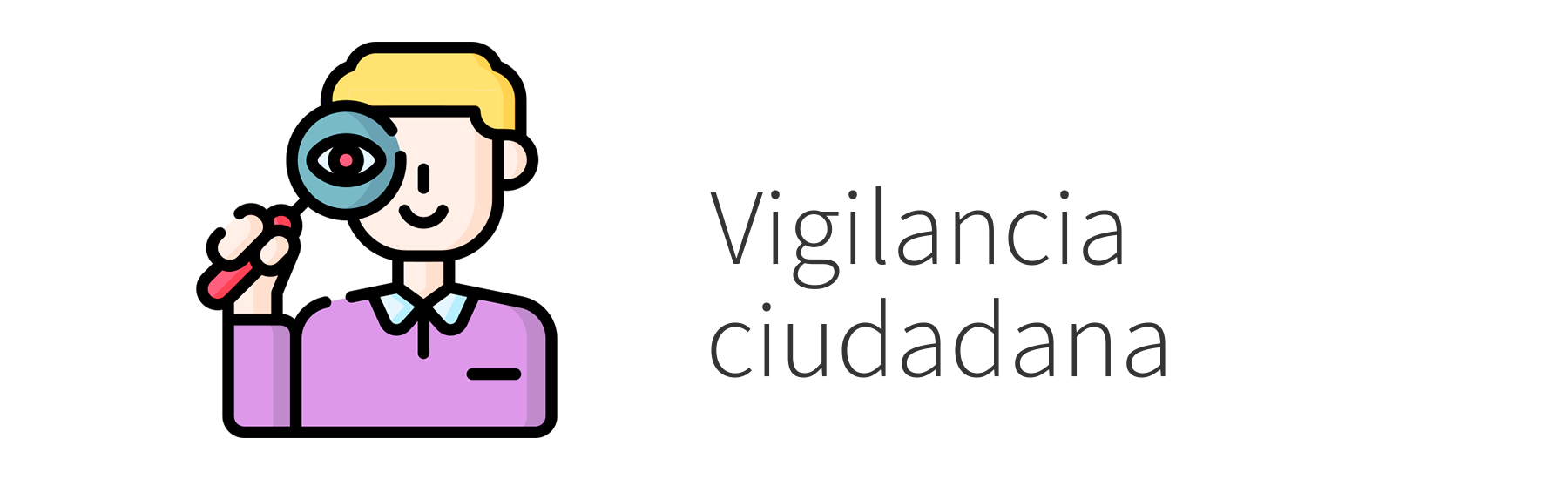 vigilancia-ciudadana-carrusel-cegss-guatemala