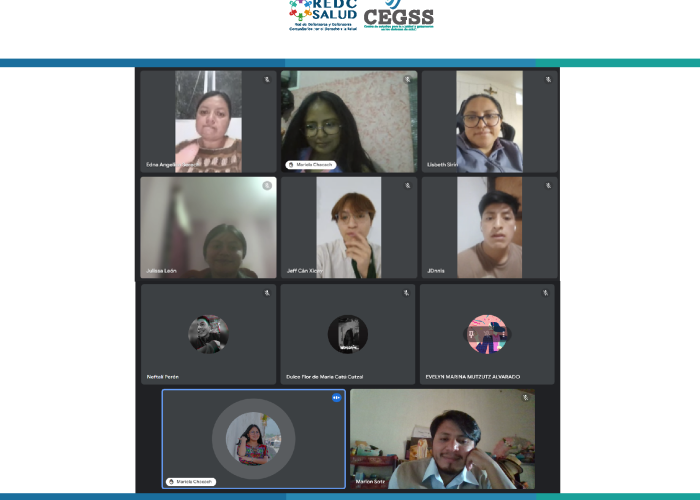 Primer Encuentro Virtual del Proceso de Formación y Acompañamiento en “Abogacía Comunitaria”